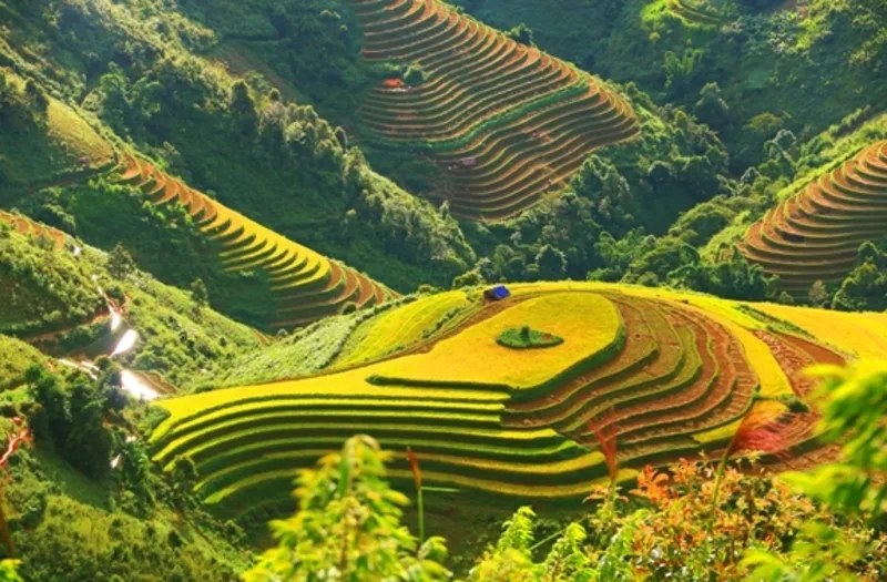 Mù Cang Chải nằm trên cung đường Tây Bắc, nổi bật với núi non, đèo cao và bản làng vùng cao