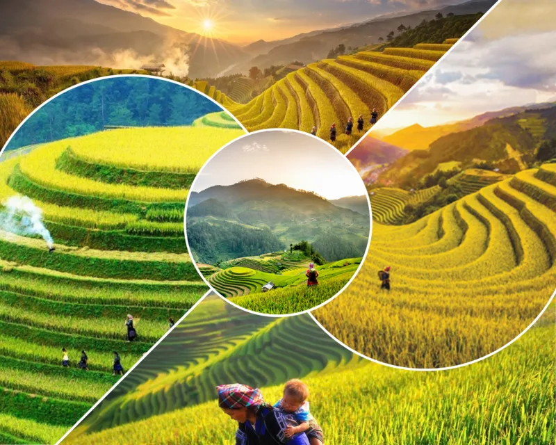 Mù Cang Chải đẹp nhất vào mùa nước đổ và mùa lúa chín, mỗi mùa mang một vẻ riêng