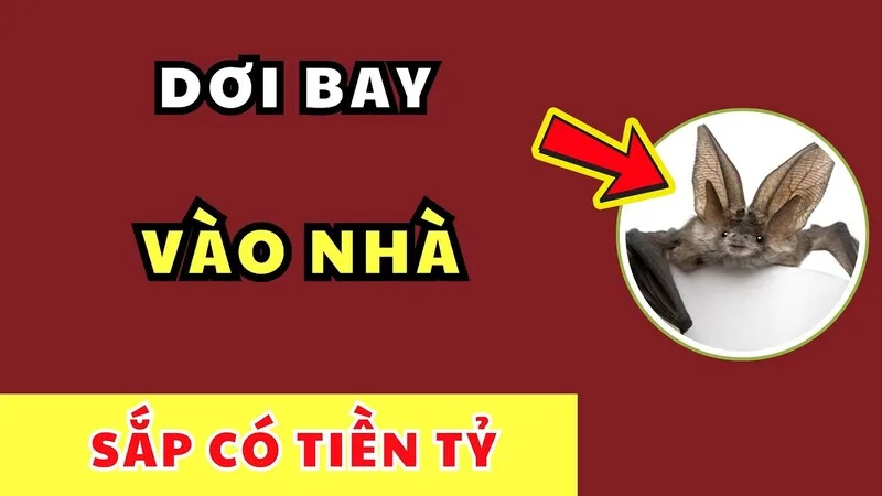 Dơi bay vào nhà không nhất thiết là điềm xấu, trong một số quan niệm còn được xem là dấu hiệu may mắn.